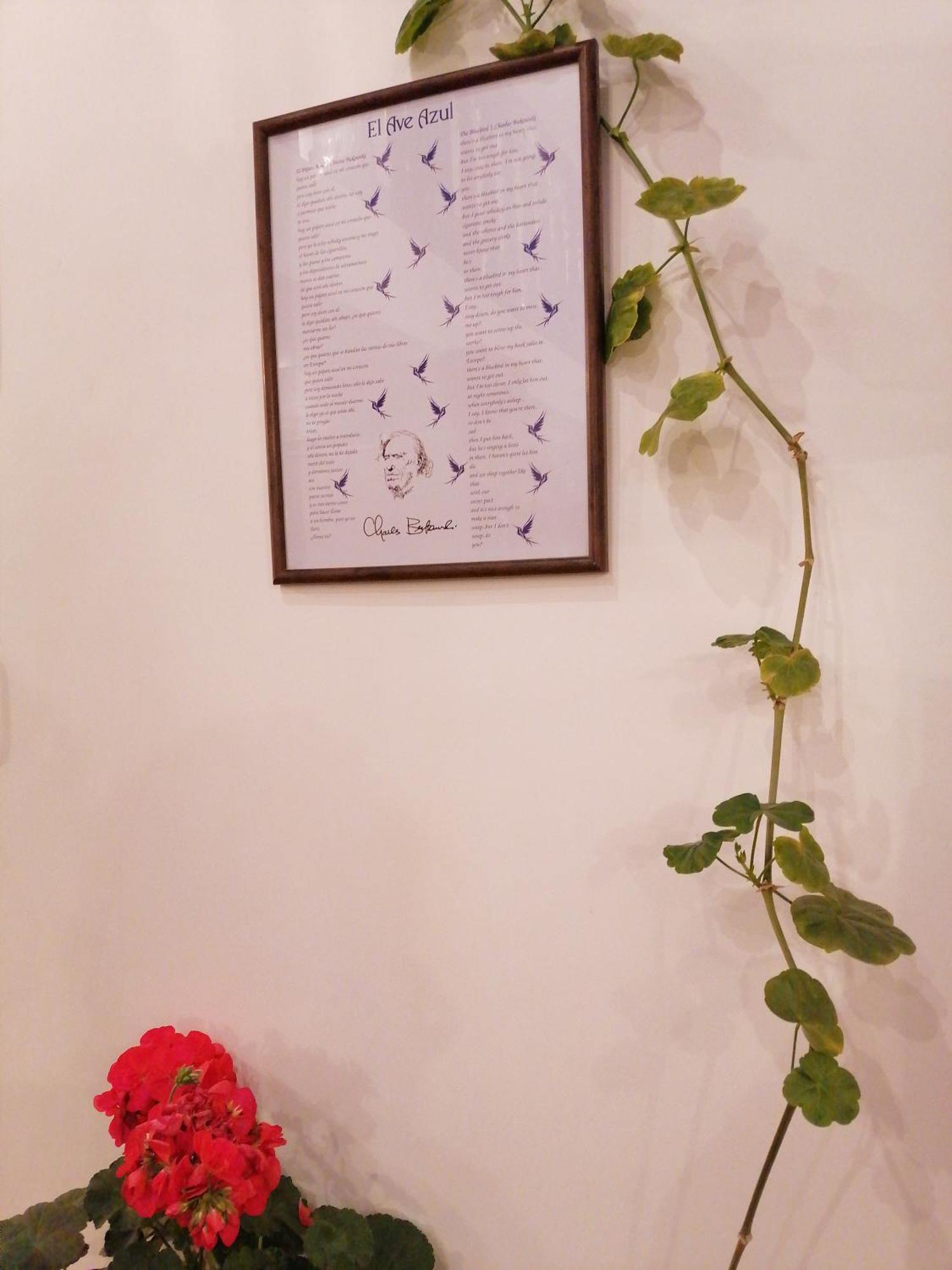 El Ave Azul Boutique Hotel Cuzco Zewnętrze zdjęcie